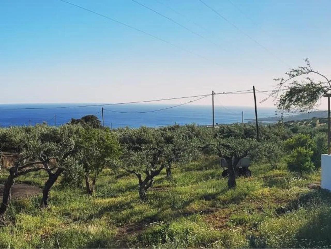 Studios Crete フェルマ エクステリア 写真